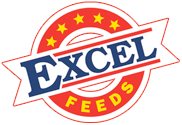 excel feeds